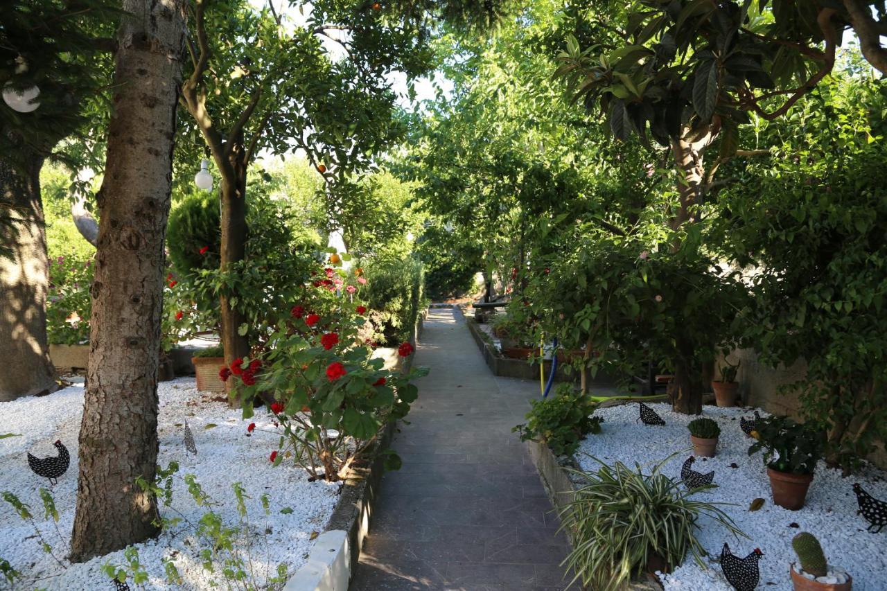 B&B Villa Gemini Sant'Agnello Extérieur photo